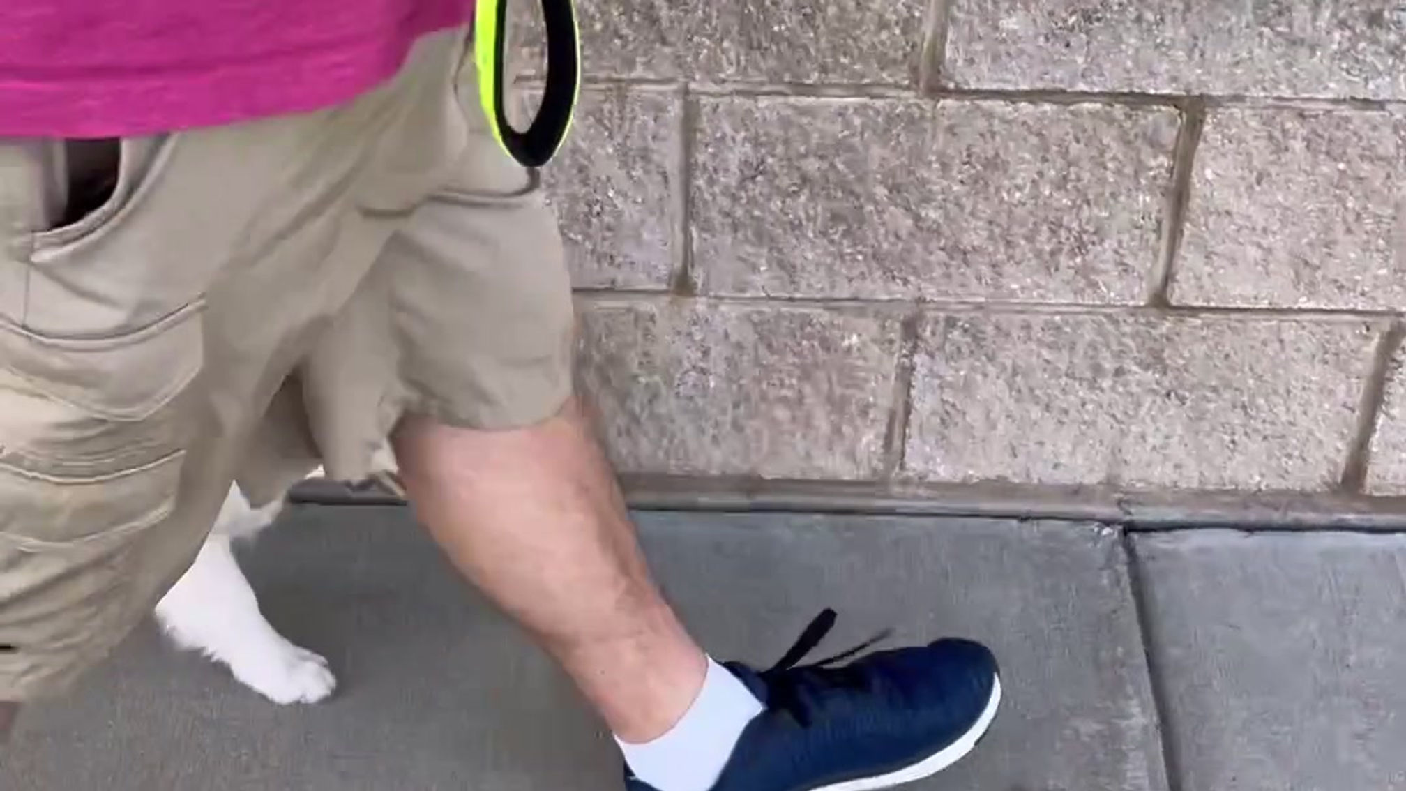 Basic On Leash Walking